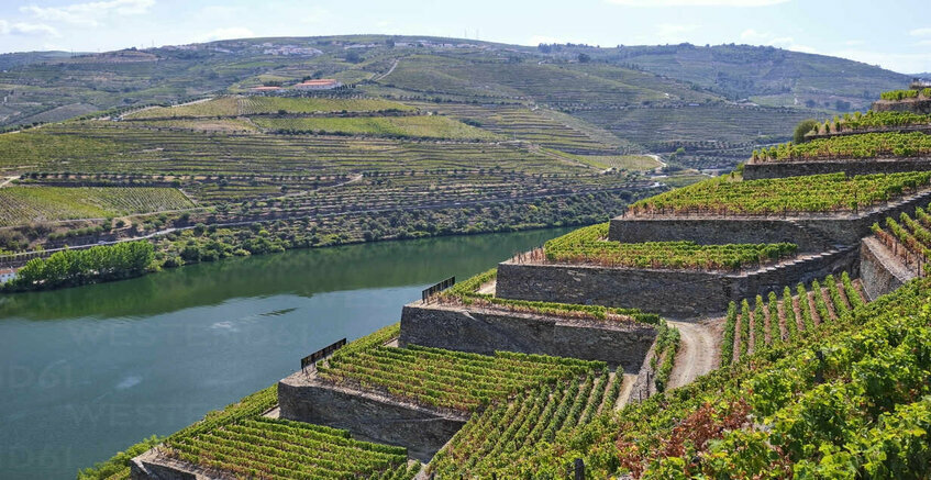 Douro