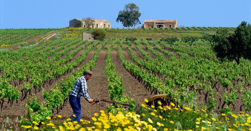 Puglia Puglia
