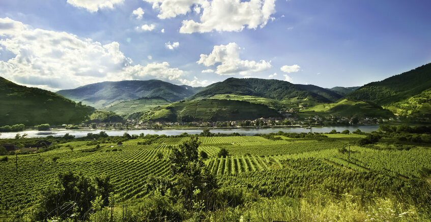 Niederösterreich Niederösterreich
