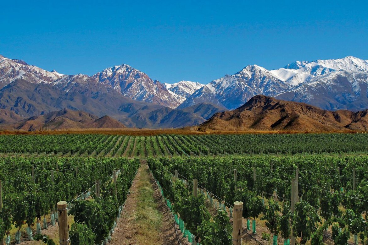 Mendoza Mendoza