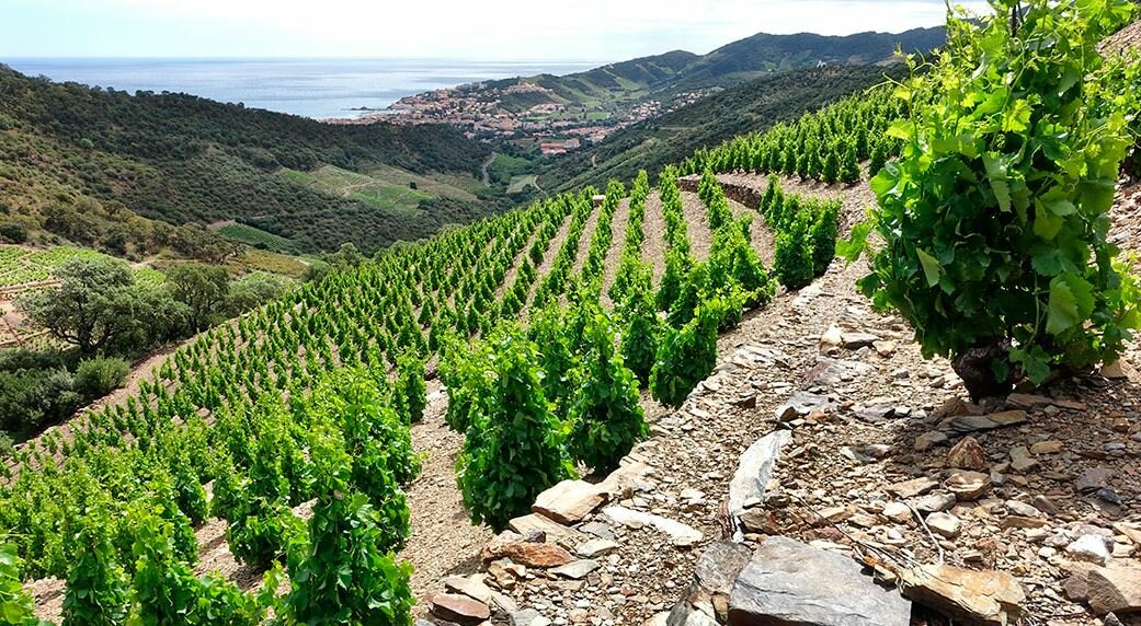 Languedoc/Roussillon Languedoc-Roussillon