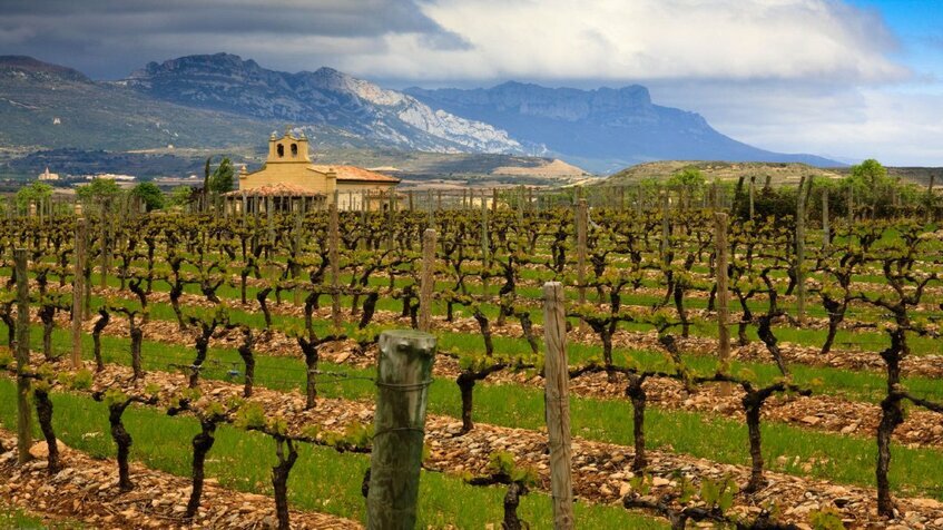 Rioja Rioja