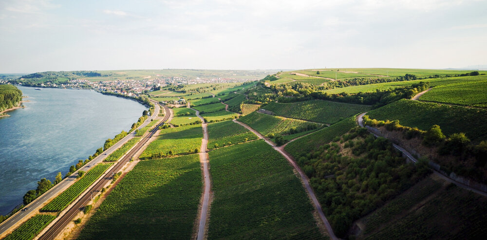 Rheinhessen Rheinhessen