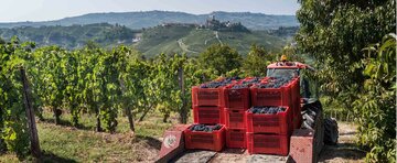 Piemonte Piemonte