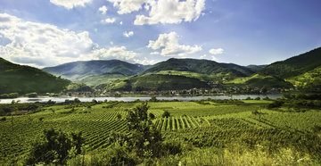 Niederösterreich Niederösterreich