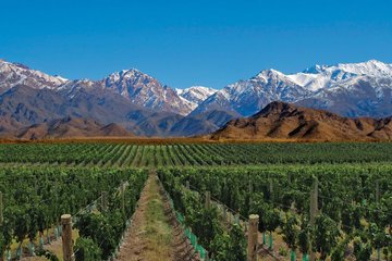 Mendoza Mendoza