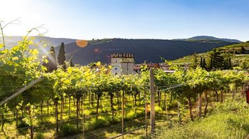 Veneto Veneto