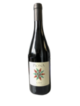 Gavi Piona Gavi Piona