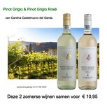 Voordeel Wijnpakket Pinot Grigio Voordeel Wijnpakket Pinot Grigio