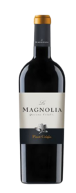 Pinot Grigio - La Magnolia